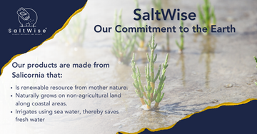 SaltWise makes Salt from Salicornia plants, Salicornia is Renewable resource from mother nature, Salicornia naturally grows on non agricultural land along coastal areas. Irrigates using sea water , thereby saves fresh water, reduces carbon footprint